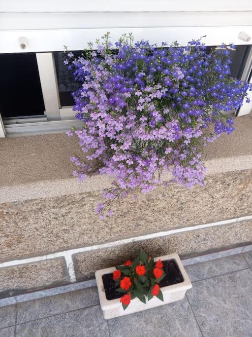 Precioso Apartamento En San Vicente De O Grove San Vicente do Grove Zewnętrze zdjęcie